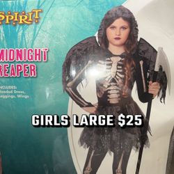 Girls Large New Costume