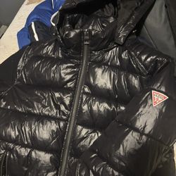 PUFFERS NEED GONE ASAP