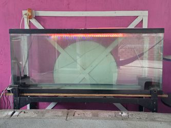 110 Gallon Fish Tank