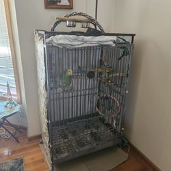 Cages And Bird Stands For Sale 