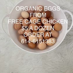 Organic Free Cage Eggs