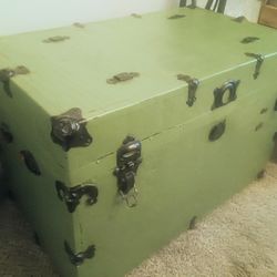 Pea Green Storage Trunk With Removable Interior Organizing Shelf