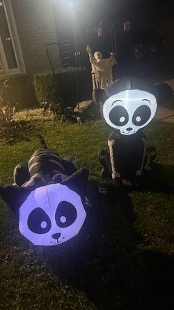 Halloween Inflatable Skeleton Cat and Dog Set of 2