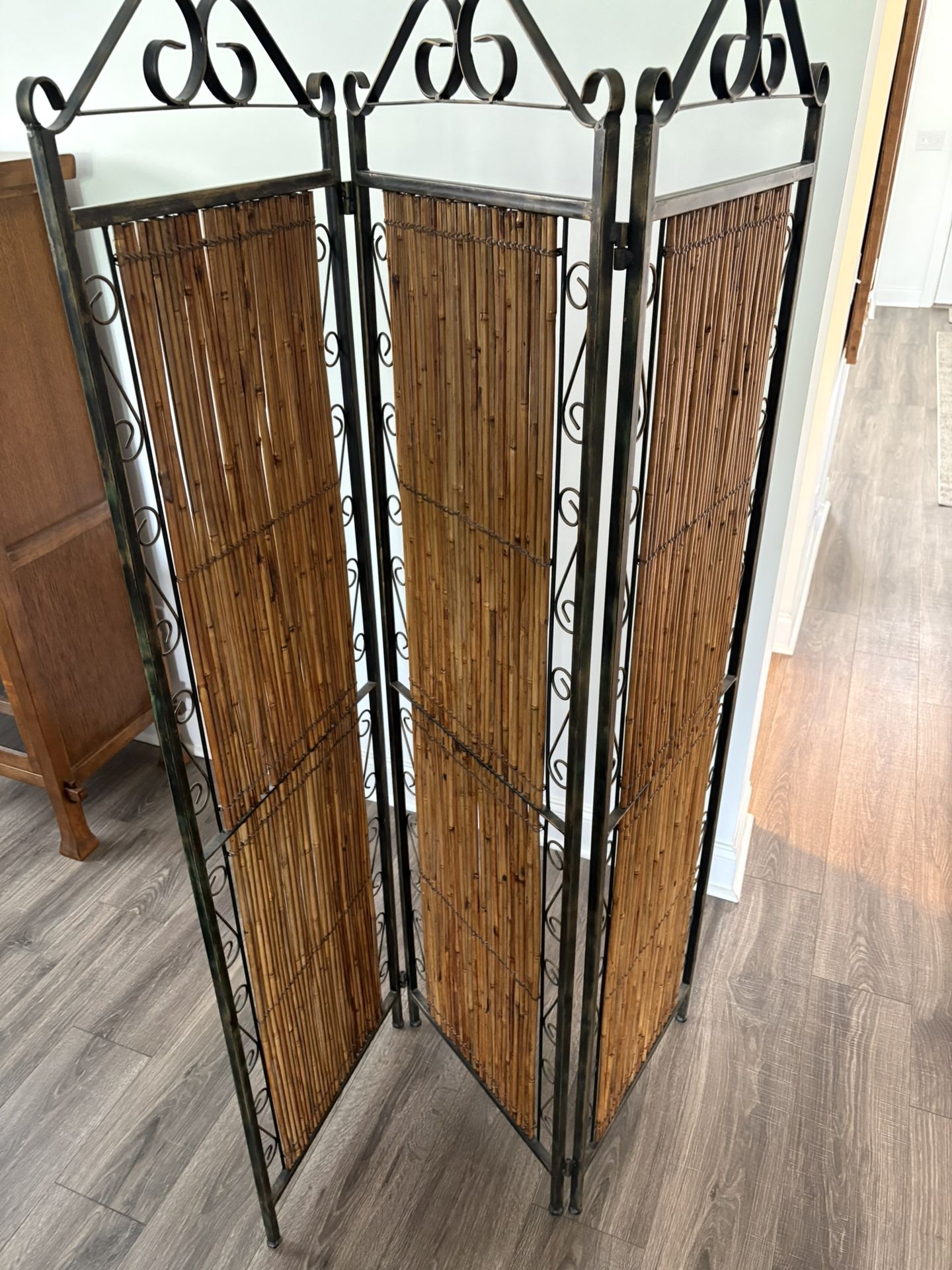 Privacy Screen