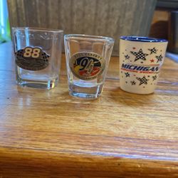 NASCAR Shot Glasses