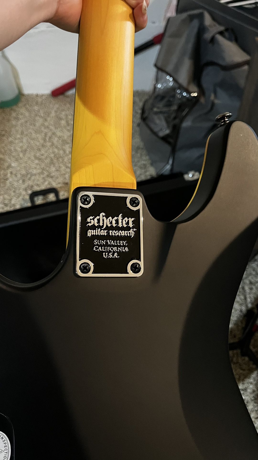 Schecter Electric Guitar Setup