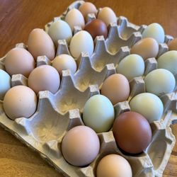 Fresh Eggs 