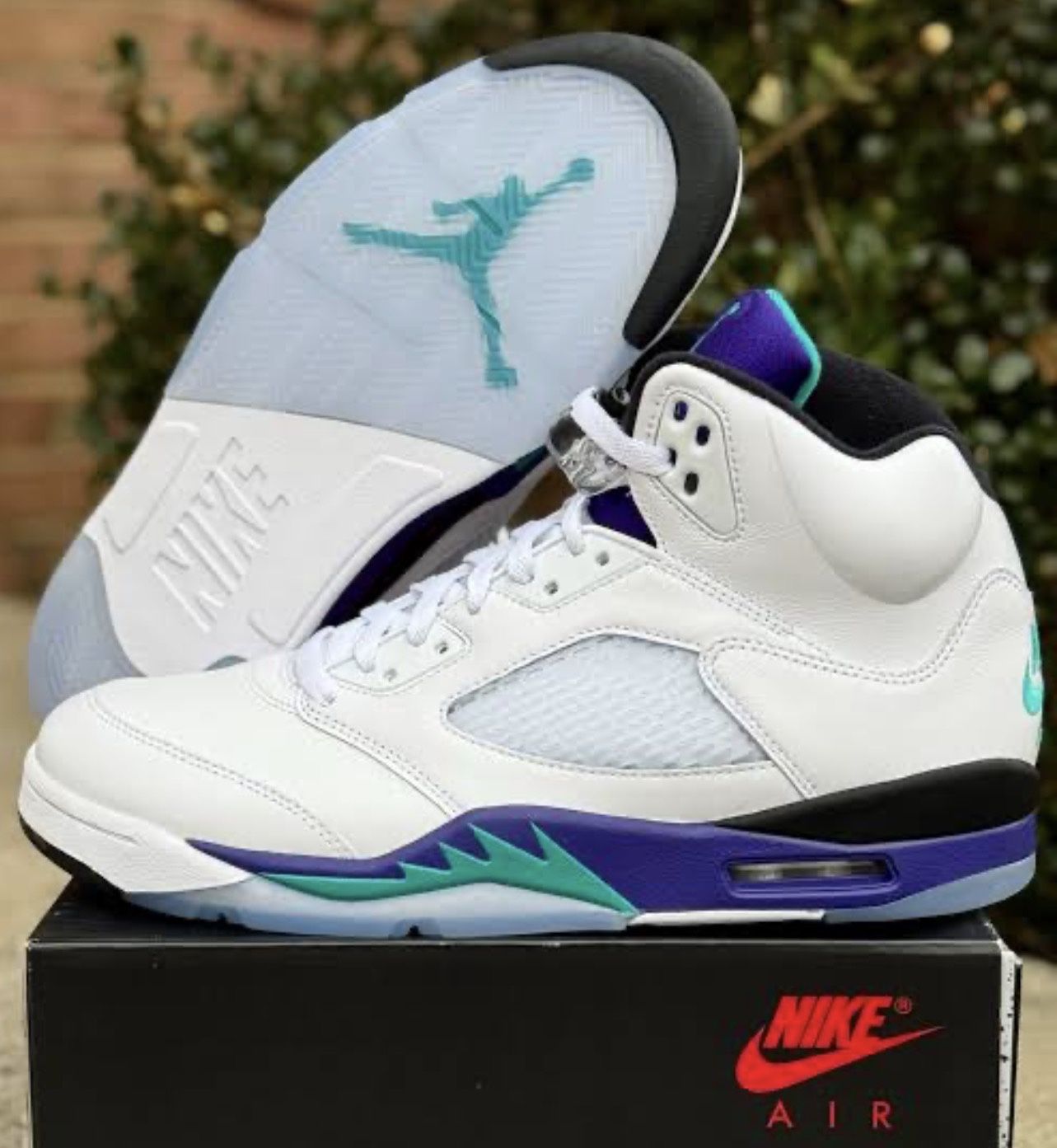 Jordan Retro 5 (Grape)
