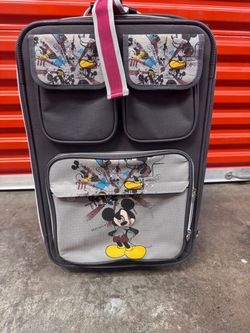 Disney Skyway luggage suitcase.