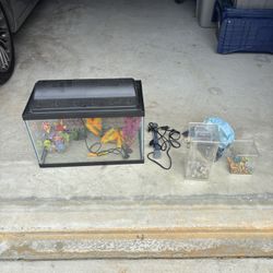 Fish Tanks
