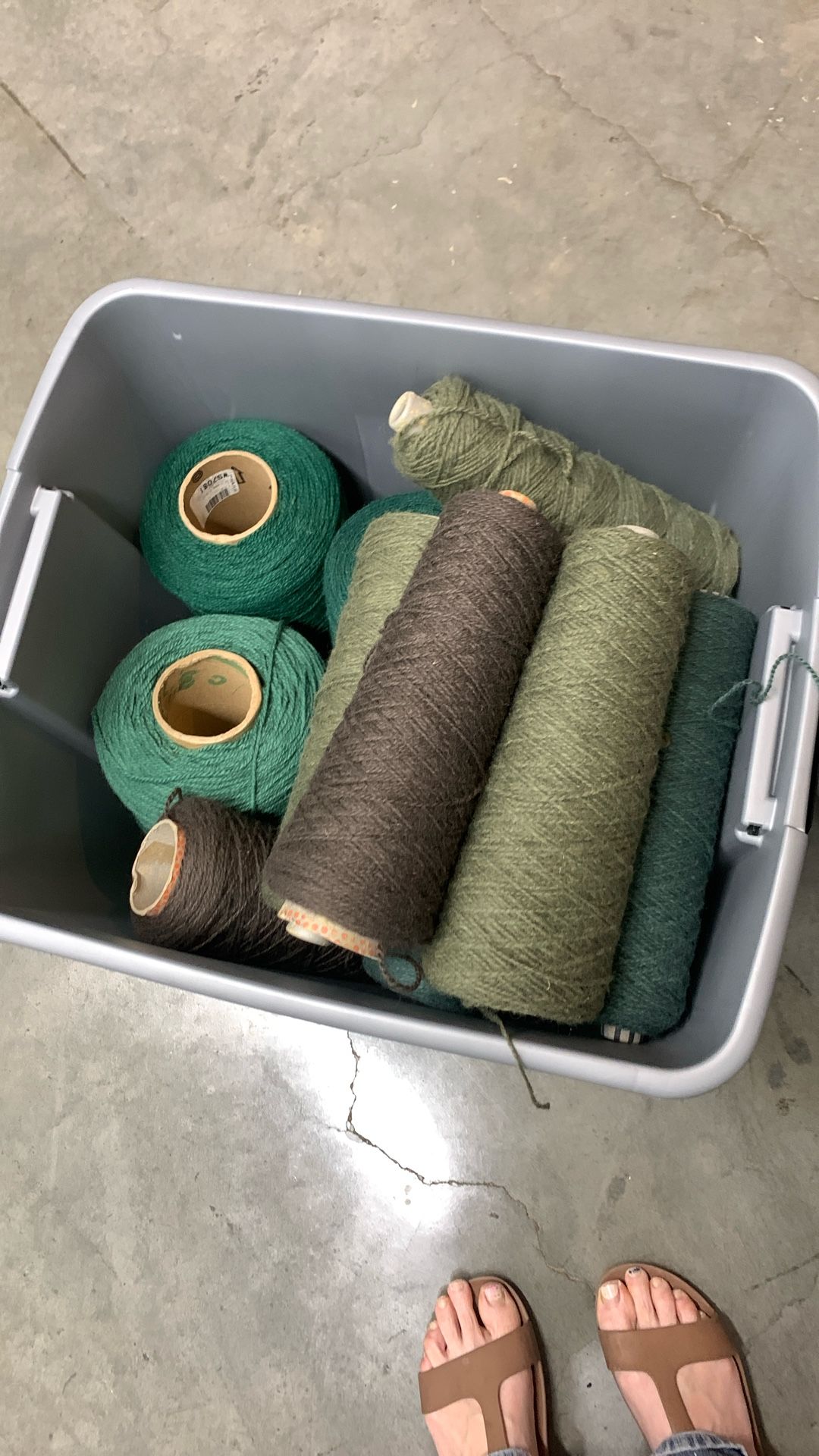 Yarn Dated Spools All Large