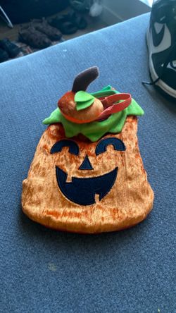 Small pet Costume