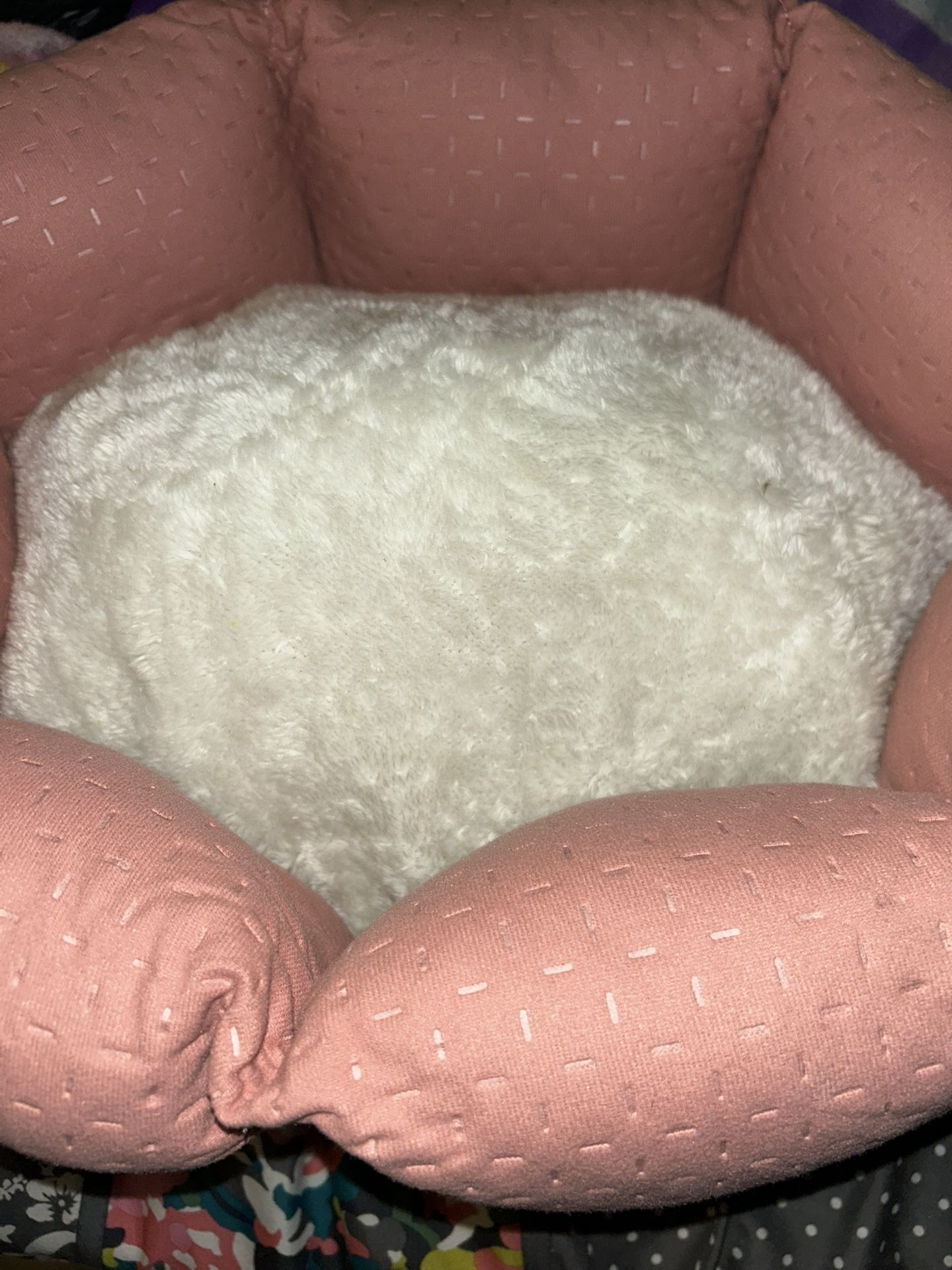 Pet Bed