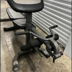 Weight Bench With Curl/leg Bar