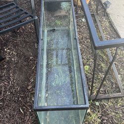 Snake tank and stand