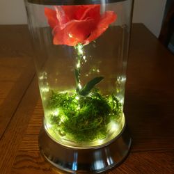 Forever Rose. Light Up Flower