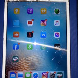 iPad Mini 4 Cracked Screen