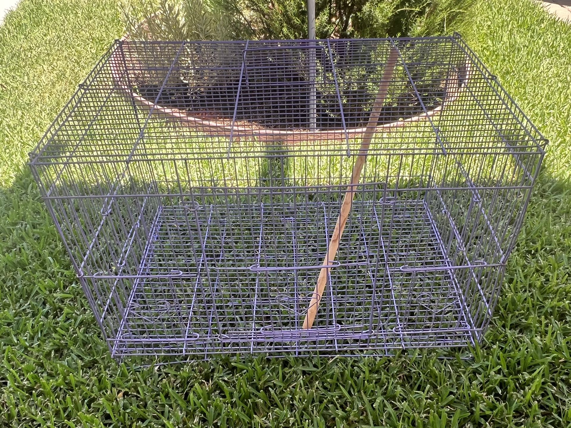 Bird Cage