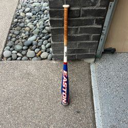 Kids Baseball Bat 