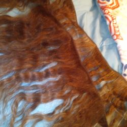 Real Hair Extensions