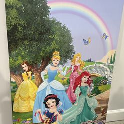 Disney Princess Canva frame