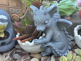 🔥 🩶 Dragon 🐉 🥚 Egg Planter - With Succulents 🪴 Plant Included 