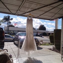 Anny Lee Ivory Wedding Gown Size 8