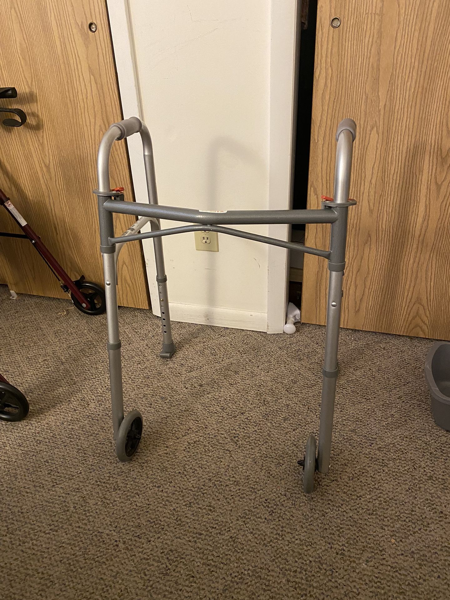 Walker With Skis