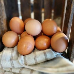 Organic Free Range Eggs From Our Backyard