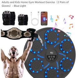Bluetooth Boxing Machine Pro