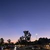 Vta, Ca