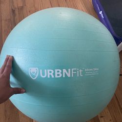 65cm Exercise Ball