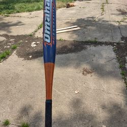 Baseball Bat