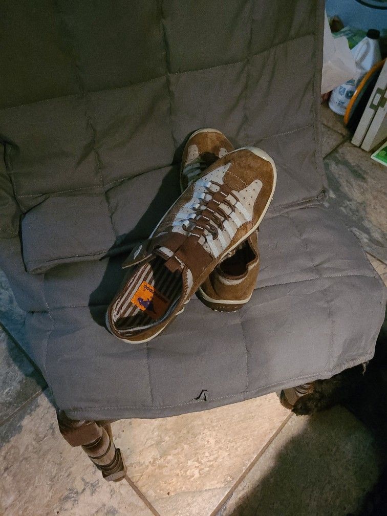 Women's ROCKET DOG Shoes