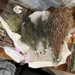 Crafting Bundle Lot of Dried Flowers And Leaves