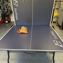 Ping-Pong Table