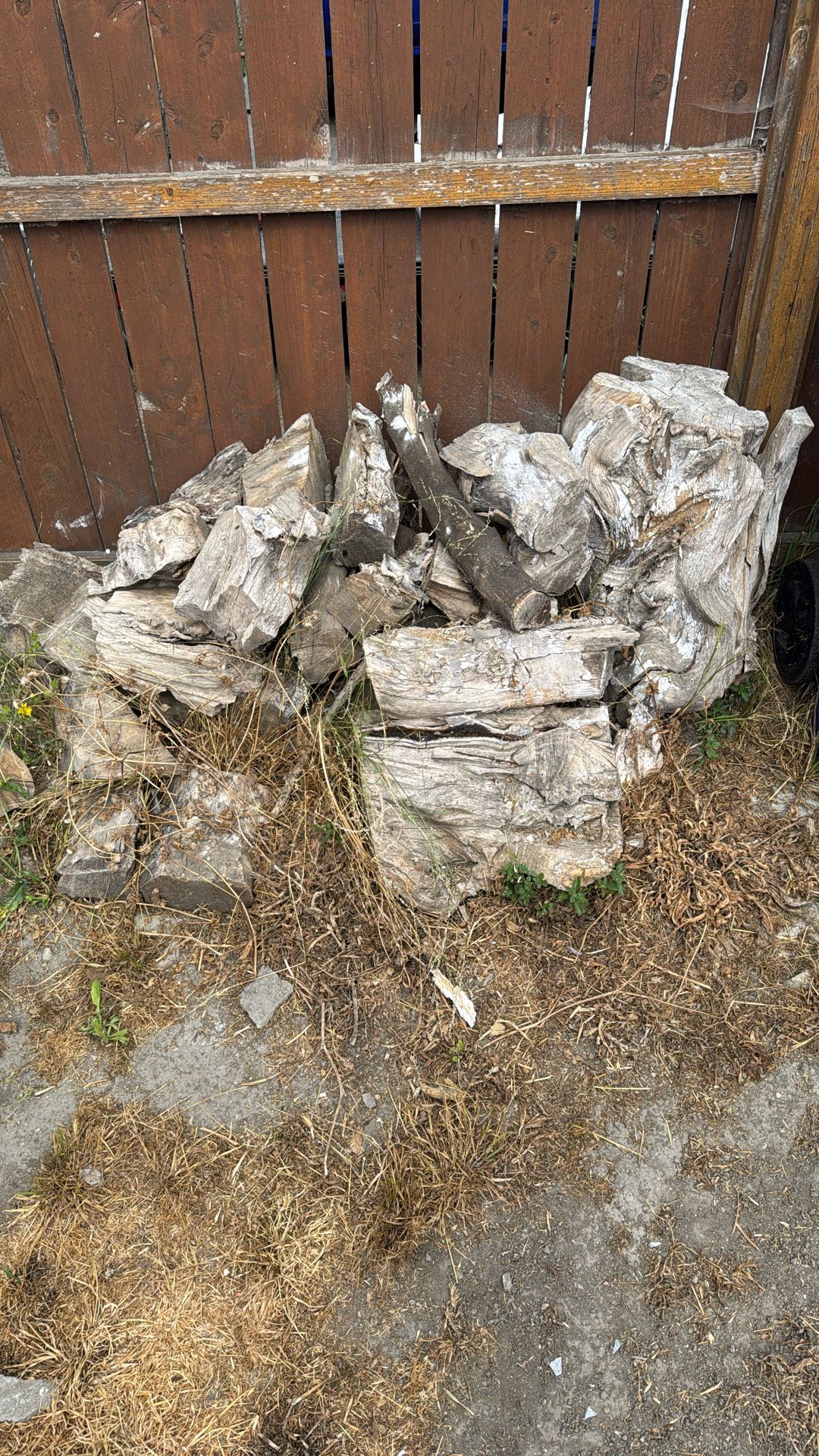 Firewood 