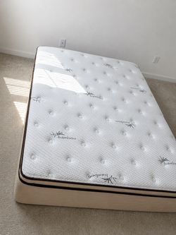 Bamboo Queen Mattress and Free Box Spring