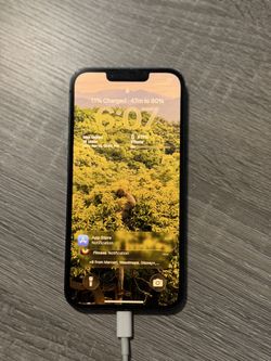 iPhone 13