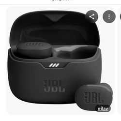 JBL True Wireless Budz