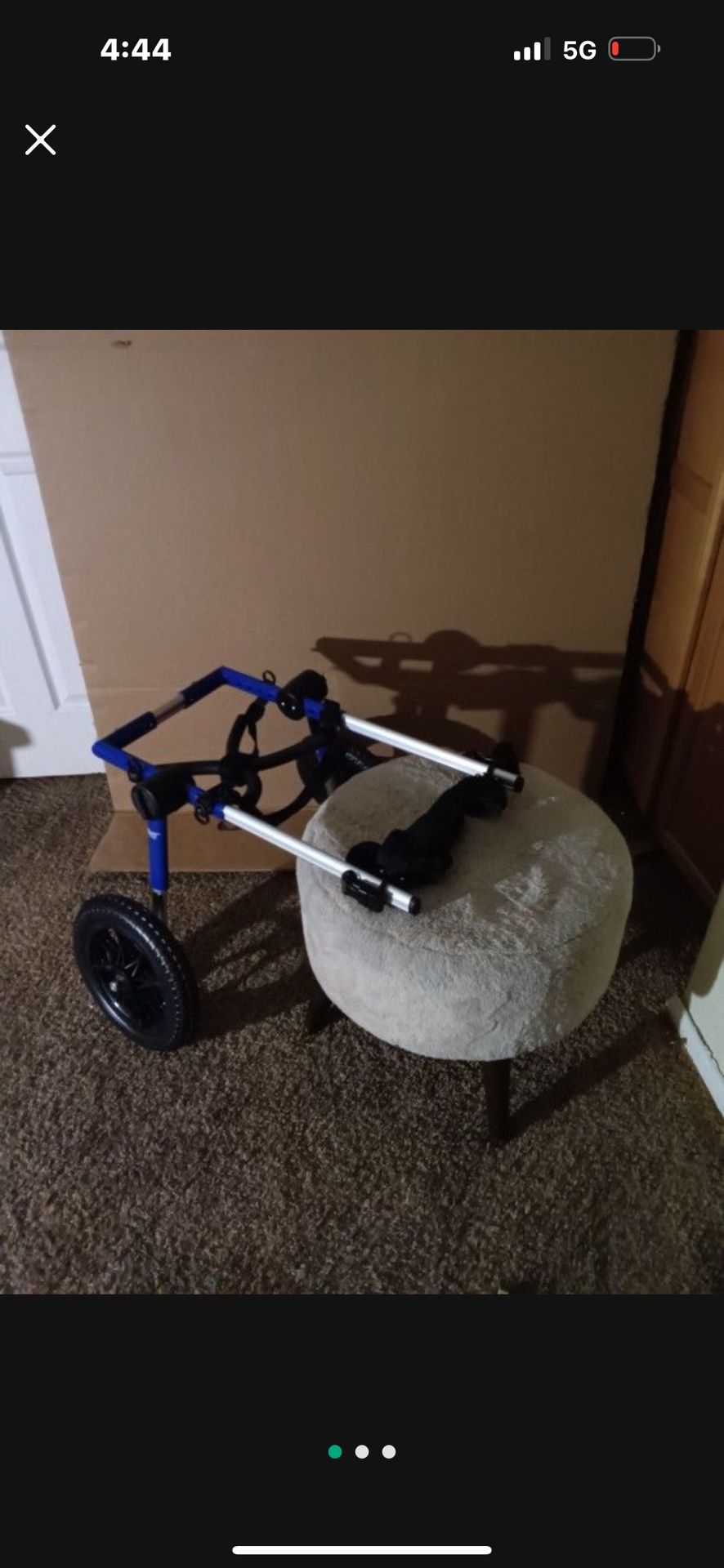 Large Pet Wheels