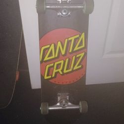Santa Cruz Skateboard 