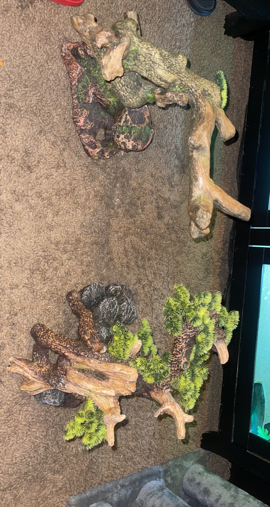 Reptile Decoration