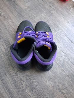 Men 9.5 LBJ