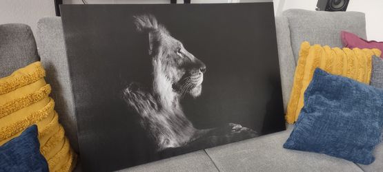 36x24-Inch Canvas - NEW