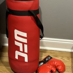 UFC Punching bag and gloves for kids