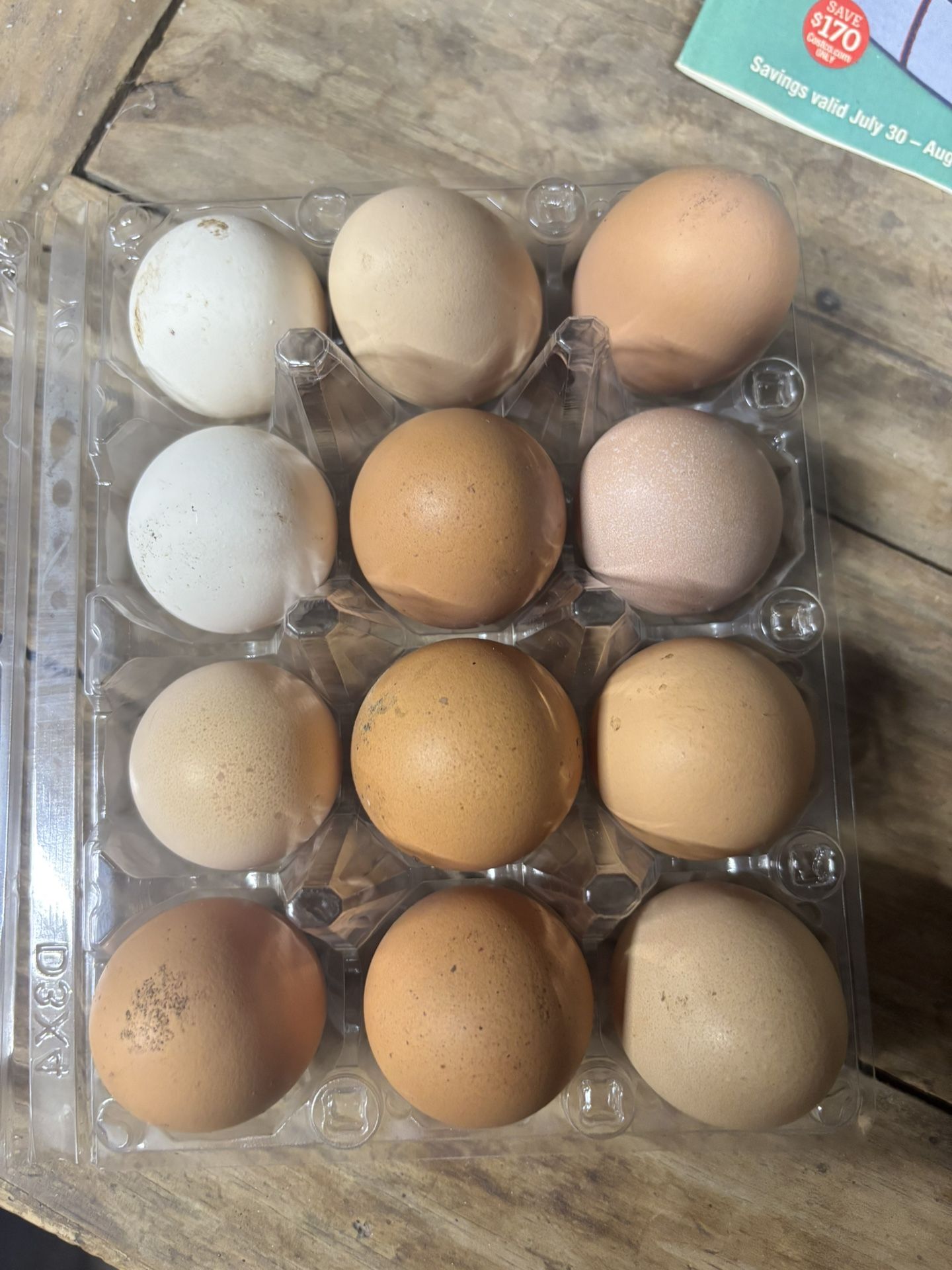 Fresh Eggs