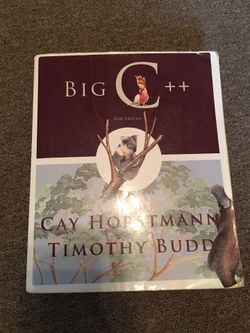 Big C++