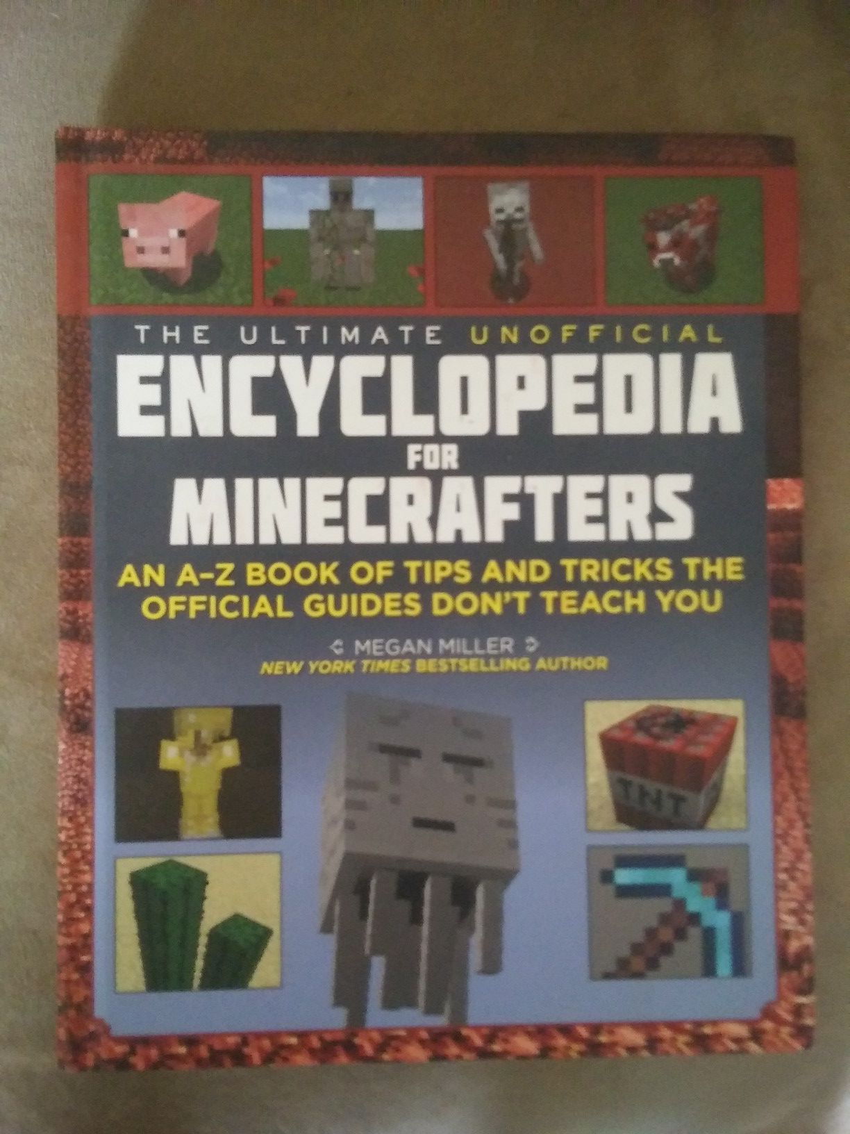 Large Minecraft Books in good condition *were each $10 or more when purchased* (all 6 for $12 total)