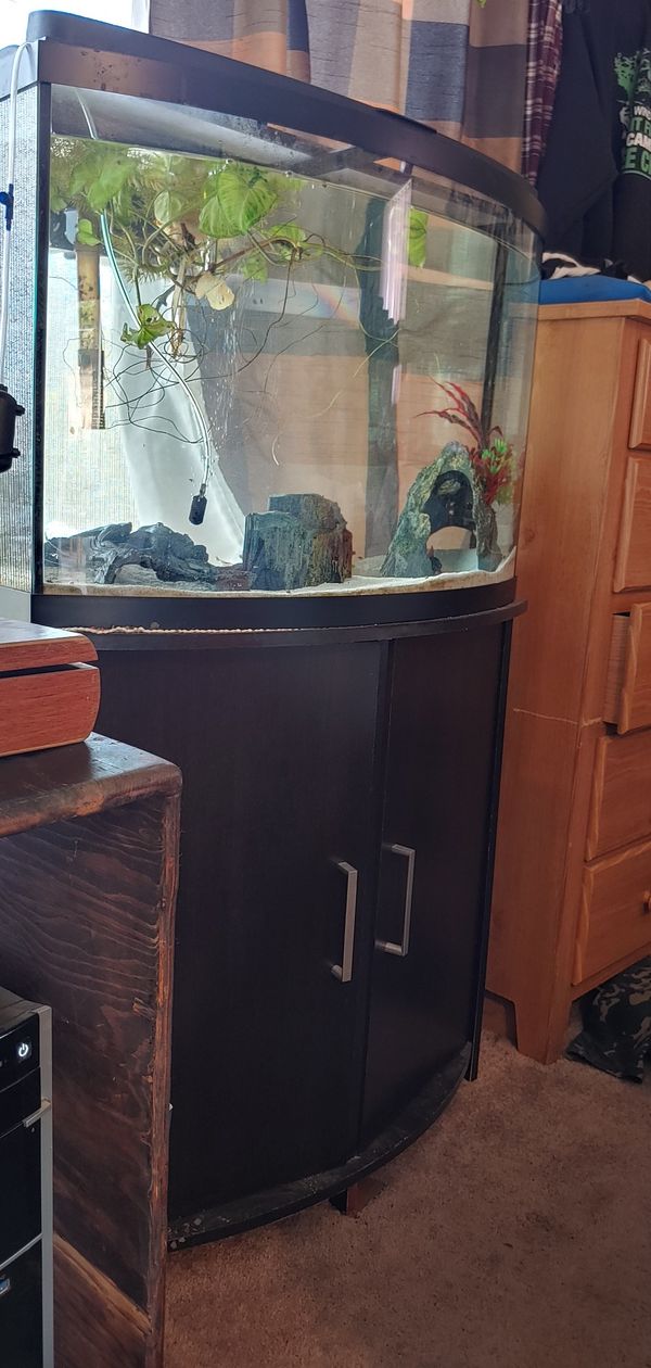 39 gallon bow front fish tank for Sale in Vancouver, WA